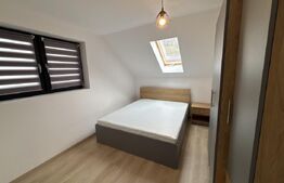 Apartament o camera, 35 mp, zona Centru