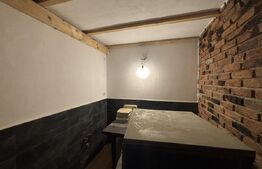 Spatiu comercia de inchiriat, 480 mp, zona Centru