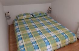 De vanzare cabana in zona linistita