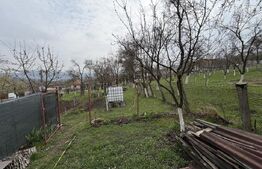 Casă cu 3 camere în suprafață de 80 mp și un teren de 2000 mp