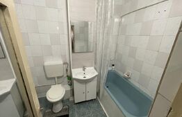 Apartament 2 camere, parter, Dumbrava Nord