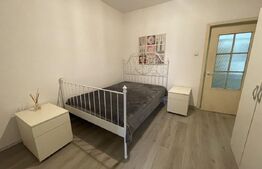 Apartament 2 camere, parter, Dumbrava Nord