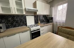 Apartament 2 camere, parter, Dumbrava Nord