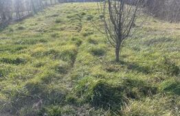 Teren de vânzare Var - 162504TV | BLITZ Zalău | Poza1