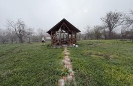 Casă cu 2 camere și o bucătărie de vară în suprafață de 80 mp