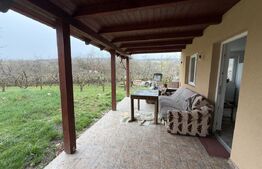 Casă cu 2 camere și un teren de 1000 mp