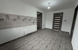 Casă cu 2 camere și un teren de 1000 mp