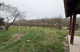 Casă cu 2 camere și un teren de 1000 mp