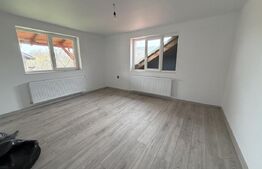 Casă cu 2 camere și un teren de 1000 mp