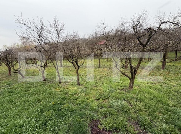 Casa de vânzare 3 camere Sud - 192220CV | BLITZ Zalău | Poza2