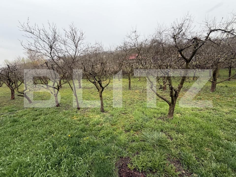 Casa de vânzare 3 camere Sud - 192220CV | BLITZ Zalău | Poza12