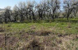 Teren intravilan in localitatea Criseni in suprafata de 2700 mp