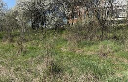 Teren intravilan in localitatea Criseni in suprafata de 2700 mp