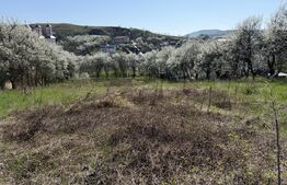 Teren intravilan in localitatea Criseni in suprafata de 2700 mp