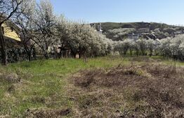 Teren intravilan in localitatea Criseni in suprafata de 2700 mp