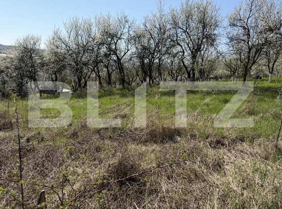 Teren de vânzare Criseni - 192499TV | BLITZ Zalău | Poza3