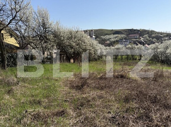 Teren de vânzare Criseni - 192499TV | BLITZ Zalău | Poza2