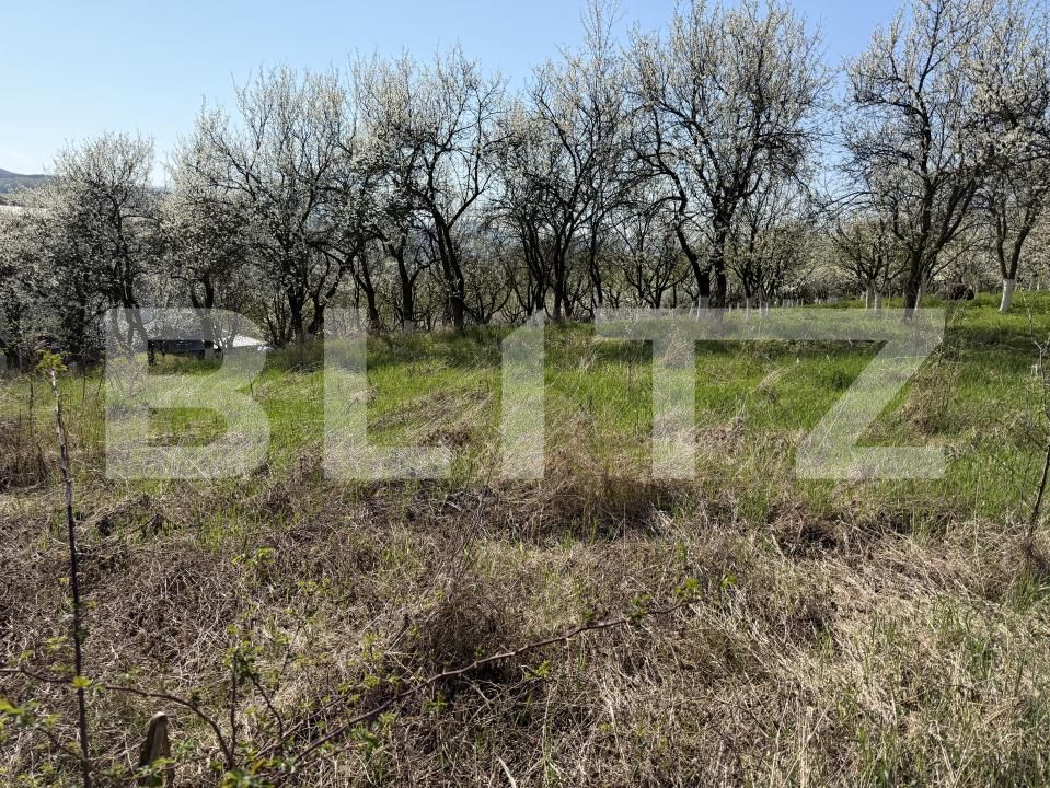 Teren de vânzare Criseni - 192499TV | BLITZ Zalău | Poza3
