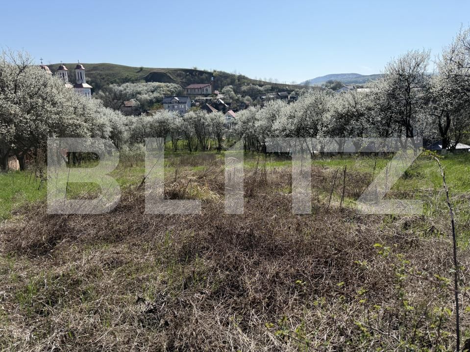 Teren de vânzare Criseni - 192499TV | BLITZ Zalău | Poza4