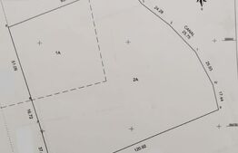 Teren intravilan in localitatea Bobota in suprafata de 11500 mp
