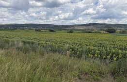 Teren intravilan in localitatea Bobota in suprafata de 11500 mp
