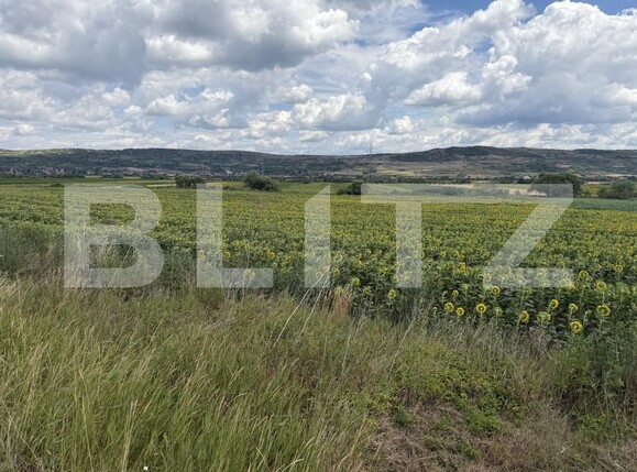 Teren de vânzare Bobota - 192611TV | BLITZ Zalău | Poza4