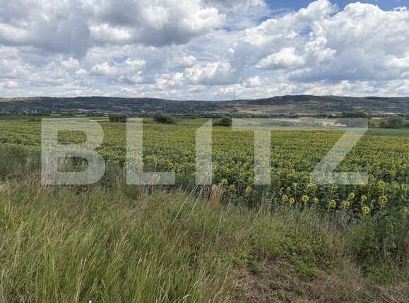 Teren de vânzare Bobota - 192611TV | BLITZ Zalău | Poza5