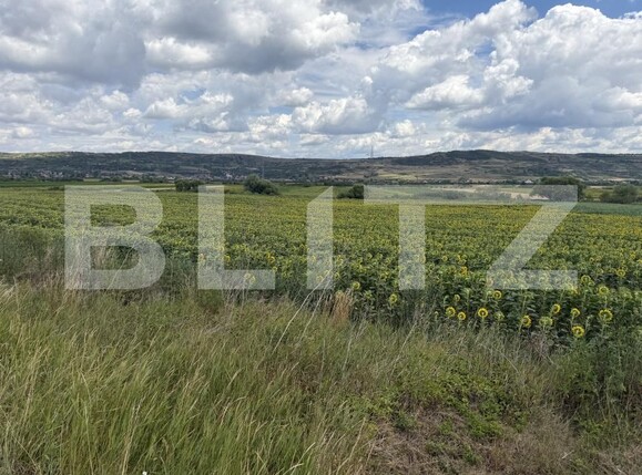 Teren de vânzare Bobota - 192611TV | BLITZ Zalău | Poza1