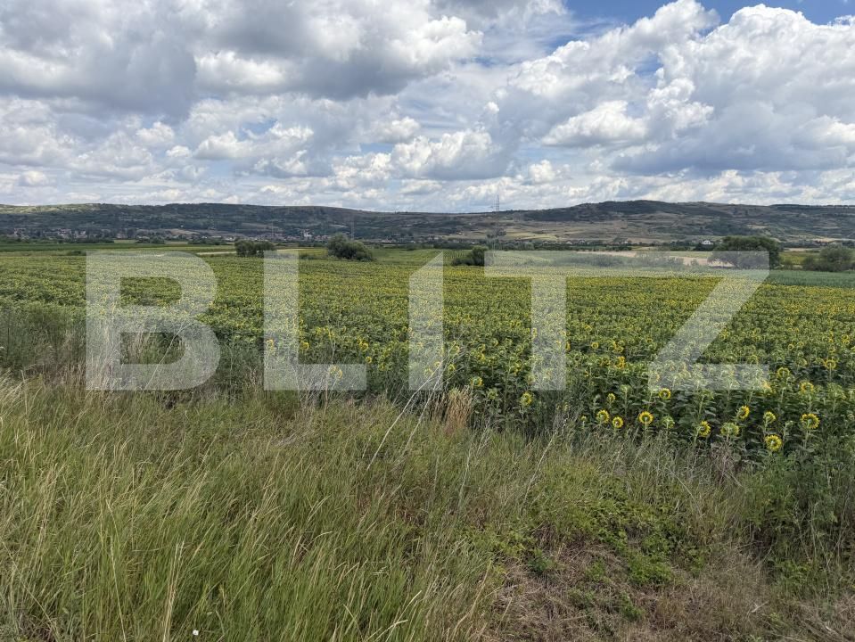 Teren de vânzare Bobota - 192611TV | BLITZ Zalău | Poza4
