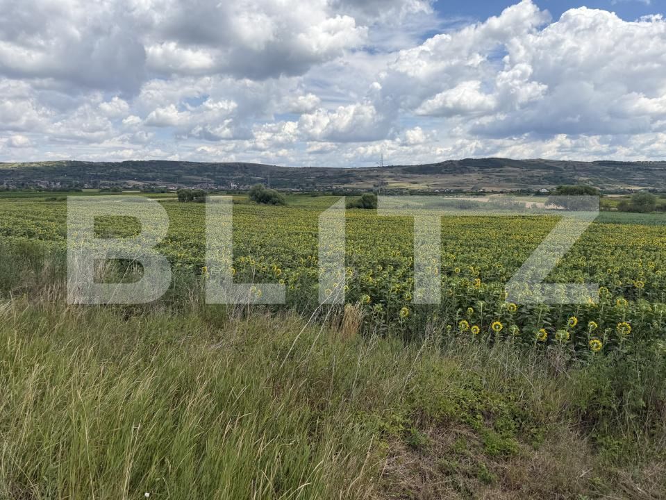 Teren de vânzare Bobota - 192611TV | BLITZ Zalău | Poza5