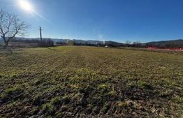 Casa de vanzare Somes-Odorhei cu un teren in suprafata de 8000 mp