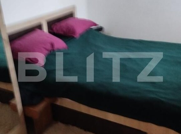 Casa de vânzare 2 camere Dragu - 192708CV | BLITZ Zalău | Poza4