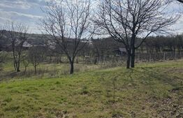Teren de vanzare, 4400 mp, zona Stadion Șimleu Silvaniei 
