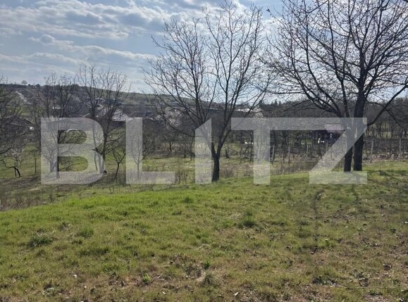 Teren de vânzare Simleu Silvaniei - 193066TV | BLITZ Zalău | Poza2