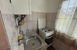 Apartament de 2 camere, Dumbrava Nord