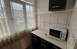 Apartament de 2 camere, Dumbrava Nord