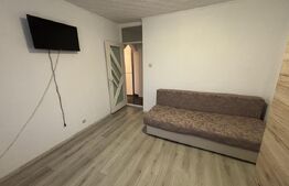 Apartament de 2 camere, Dumbrava Nord