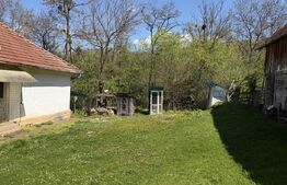 Casă cu 3 camere și un teren de 5000 mp