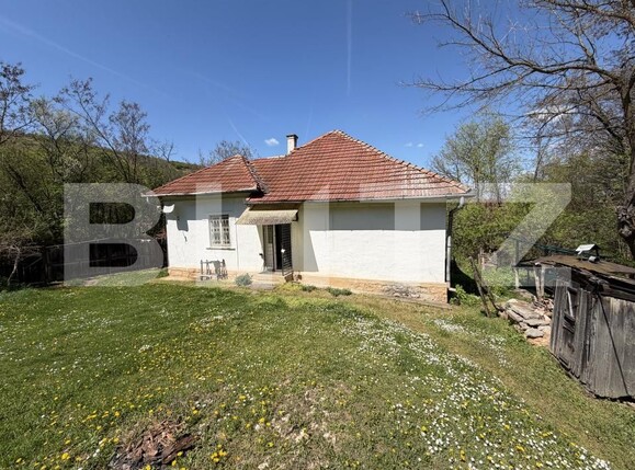 Casa de vânzare 4 camere Petrindu - 193623CV | BLITZ Zalău | Poza8
