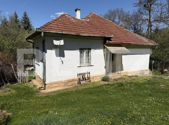 Casa de vânzare 4 camere Petrindu - 193623CV | BLITZ Zalău | Poza9