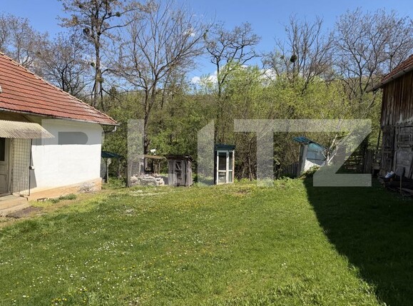 Casa de vânzare 4 camere Petrindu - 193623CV | BLITZ Zalău | Poza10