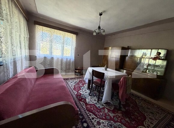 Casa de vânzare 4 camere Petrindu - 193623CV | BLITZ Zalău | Poza3