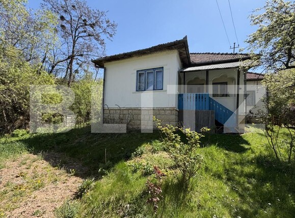 Casa de vânzare 4 camere Petrindu - 193623CV | BLITZ Zalău | Poza1