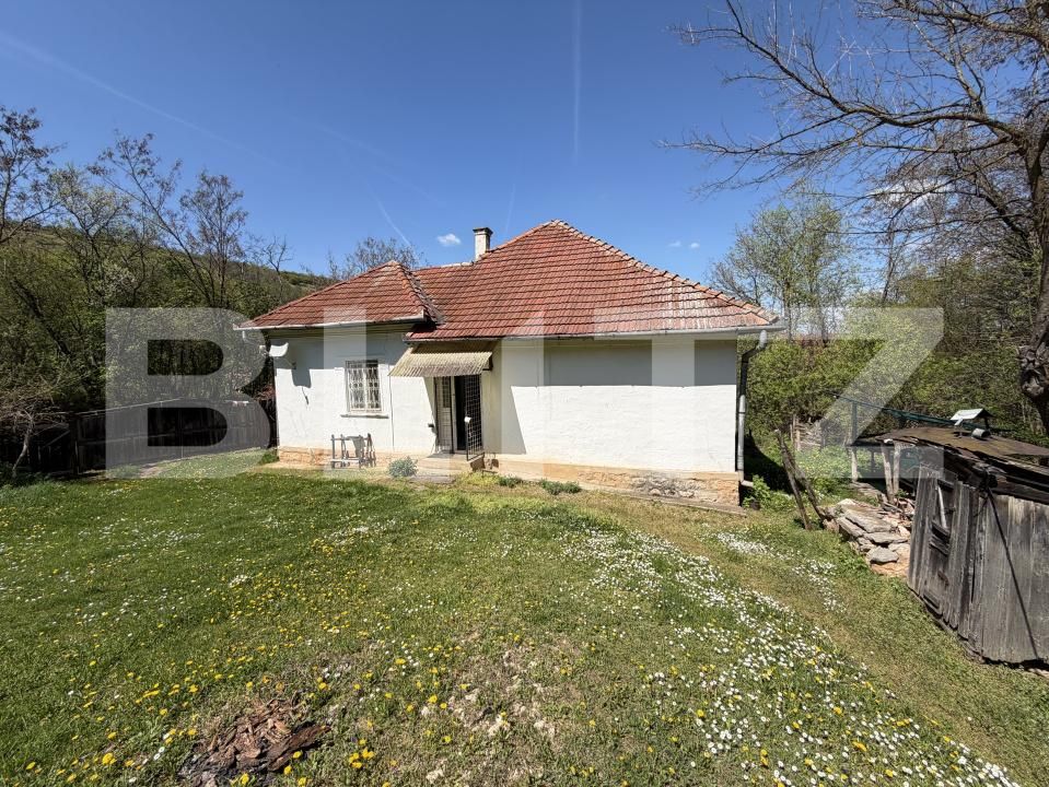 Casa de vânzare 4 camere Petrindu - 193623CV | BLITZ Zalău | Poza8