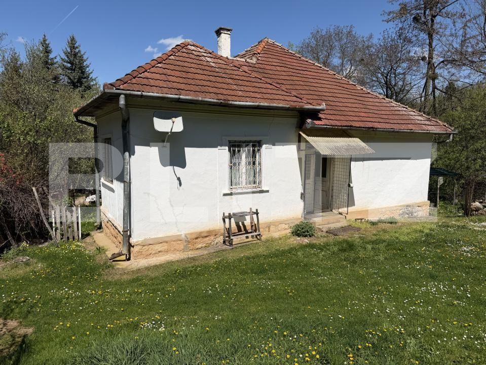 Casa de vânzare 4 camere Petrindu - 193623CV | BLITZ Zalău | Poza9