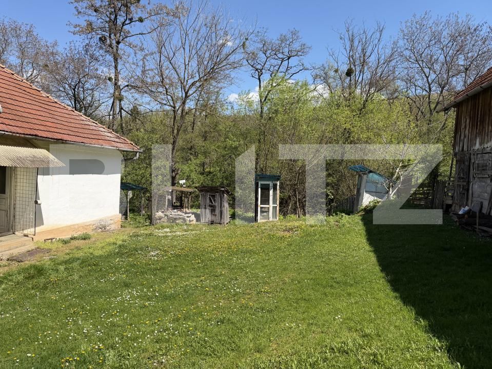 Casa de vânzare 4 camere Petrindu - 193623CV | BLITZ Zalău | Poza10