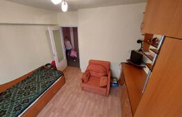 Apartament 2 camere, Zona Bradet