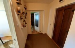 Apartament 2 camere, Zona Bradet