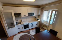 Apartament 2 camere, Zona Bradet