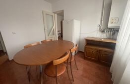 Apartament cu o camera, 35 mp cu acces la mansarda, zona Bradet